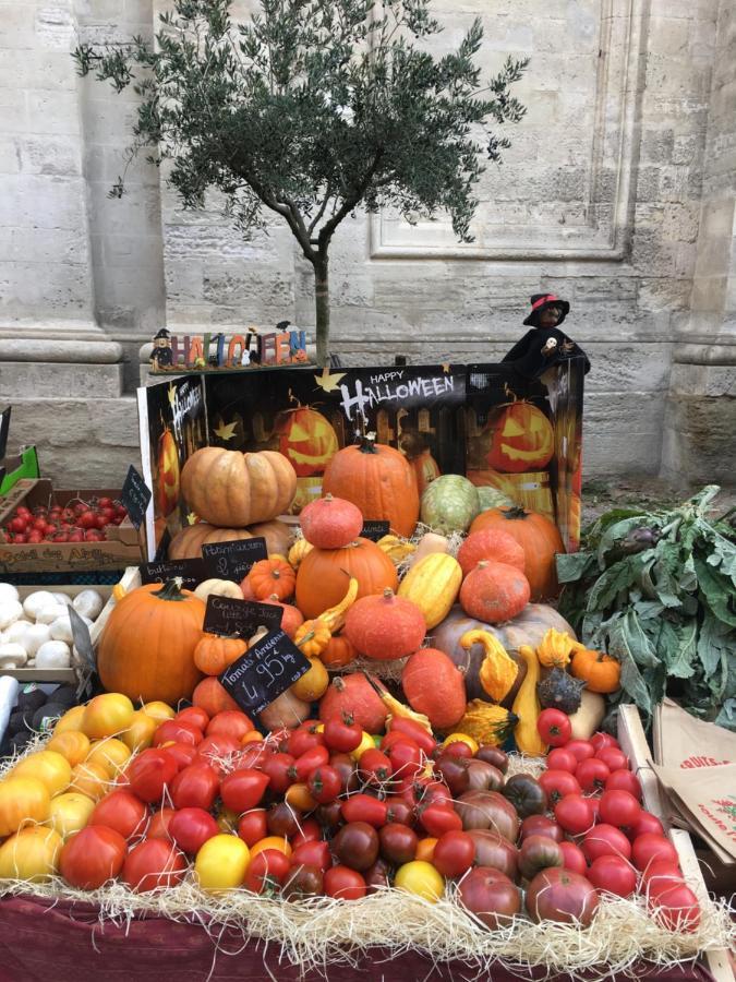 Ferienwohnung Un Coin De Luberon LʼIsle-sur-la-Sorgue Exterior foto