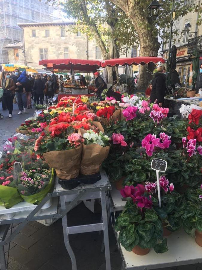 Ferienwohnung Un Coin De Luberon LʼIsle-sur-la-Sorgue Exterior foto